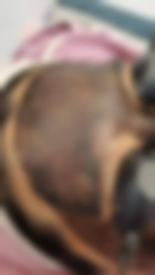 三、成都高新新瑞凯文医疗美容诊所基本信息：