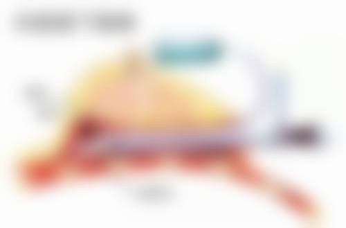 长水痘留疤莫烦恼！化学剥脱有妙招