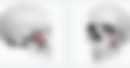超体隆鼻与组织融合佳体现在哪?深入剖析