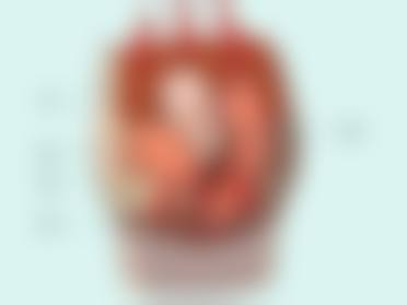 王玺凤医生怎么样可靠吗?