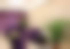 二、泉州丰泽欧菲医疗美容门诊部正规吗?来看看医院资质: