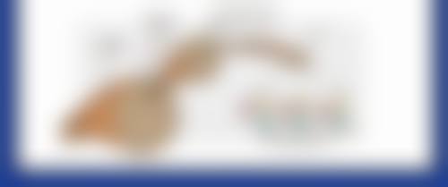 丰太阳穴风险知多少？解析不同填充方式利弊，掌握规避要点与护理秘诀