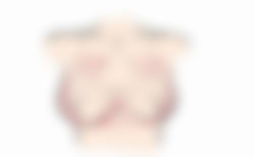 二、盘锦陈氏玉丽医疗美容诊所正规吗?来看看医院资质: