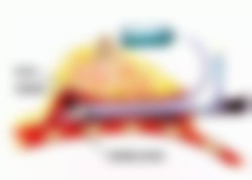 四、无锡娜摩丹万春整形医院基本信息: