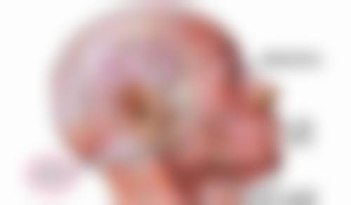 生姜助力去眼袋之促进血循环