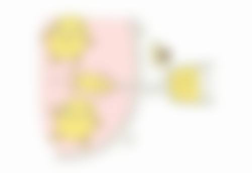 武汉斯启诺医疗美容门诊部眼部整形项目真实评价
