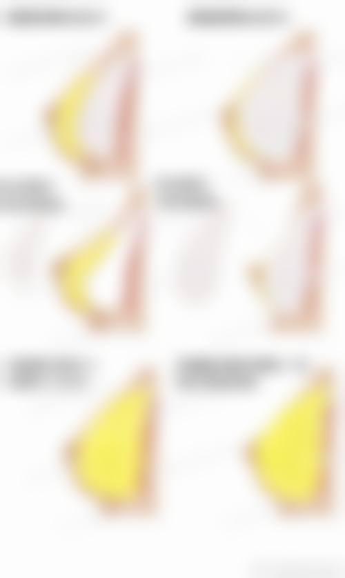 三、武汉美丽尔医疗美容医院基本信息：
