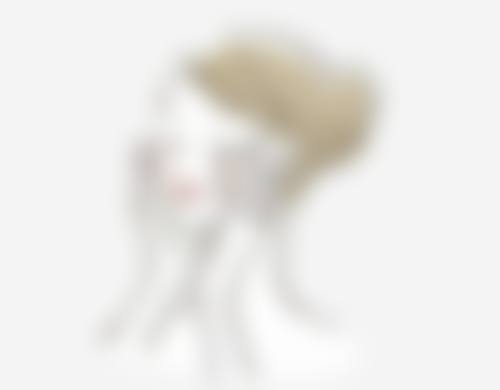 刘秀卿医生实例