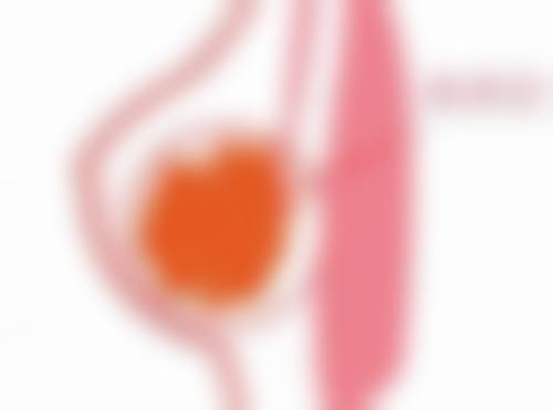 五、武汉四良轻医美整形医院实例